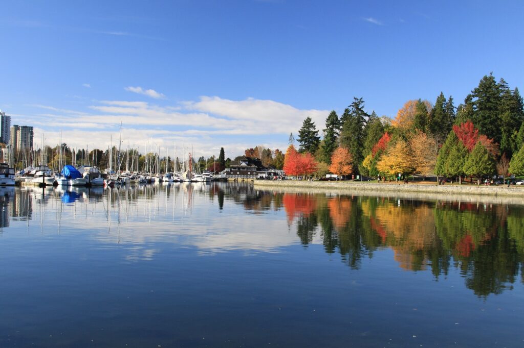 8 Spectacular Places to Visit in Vancouver: A Guide for Travelers - beautiful stanley park in vancouver 2022 11 11 07 33 50 utc , vancouver