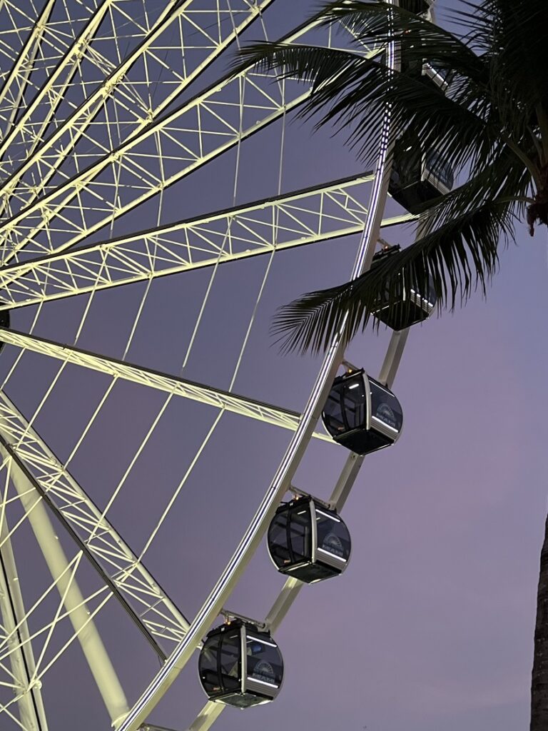Your Ultimate Guide to the Top 7 Things to Do in Miami - ferris wheel in the park at the downtown miami at 2022 12 09 02 13 20 utc , miami
