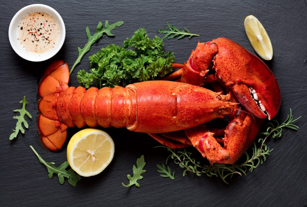 5 Must Do Things in Boston - lobster 2021 08 26 16 35 46 utc , boston